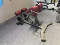 Équipement de musculation pour la maison et le commerce Banc de musculation romain avec cadre en métal pour la musculation et l'entraînement au Goat Lift