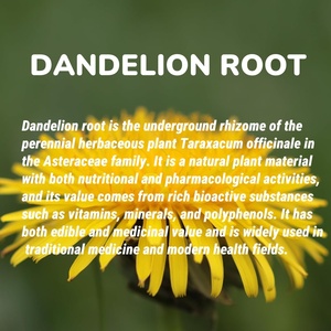 Diskon besar suplemen dukungan sirkulasi limfatik Artichoke Susu Thistle ekstrak daun <span class=keywords><strong>Dandelion</strong></span> akar Softgel kapsul untuk Kesehatan - Product Image 5