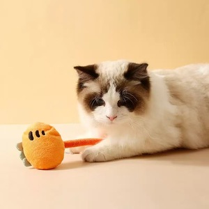 Jouets à mâcher en peluche <span class=keywords><strong>pour</strong></span> chat, mignons et interactifs, avec corde, <span class=keywords><strong>pour</strong></span> <span class=keywords><strong>la</strong></span> dentition, jouet à mâcher à <span class=keywords><strong>la</strong></span> catnip <span class=keywords><strong>pour</strong></span> chats - Product Image 4