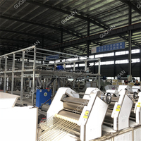 Ligne de production de nouilles frites miniatures, ligne de production de nouilles frites en gobelet, ligne de production de nouilles instantanées / machine à fabriquer des nouilles chinoises