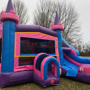 Château sautant intérieur/extérieur <span class=keywords><strong>gonflable</strong></span> commercial de divertissement d'arrière-cour des enfants avec la glissière combinée de <span class=keywords><strong>Lol</strong></span> - Product Image 2