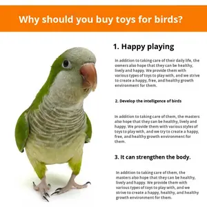 OEM And ODM Factory <strong>Wholesale</strong> Novelty Natural <strong>Parrot</strong> Bird Chew &amp; Teeth Grinding <strong>Toy</strong> With Boredom Relief And Climbing Features - Product Image 5