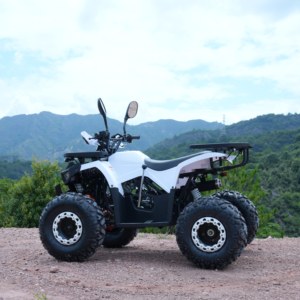 Quad 125cc fabriqué en Chine pour le tout-terrain - Product Image 5