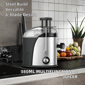 450W elektrik kendi kendini temizleyen santrifüj yavaş sıkacağı 380ml kapasite hamuru-ev/ticari kullanım için çok fonksiyonlu ayırma - Product Image 4