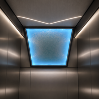 Pièces d'ascenseur : Plafonnier LED panoramique moulé intégralement, édition ciel étoilé, design moderne pour villa et appartement