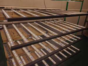 Voorraad Led Growl Lights 1000W Samsung Full Spectrum Dimbaar Indoor Hydrocultuur Groeilicht - Product Image 2