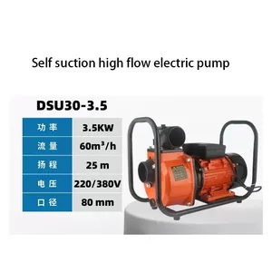 Pompe à eau <span class=keywords><strong>domestique</strong></span> auto-amorçante à haut débit 220V, pompe de surpression pour l'alimentation en eau <span class=keywords><strong>domestique</strong></span> et l'irrigation - Product Image 6