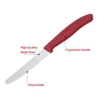 Offre Spéciale Couteau à Fruits à Manche en Plastique, Couteau d'Office, Couteaux à Beurre et à Steak en Acier Inoxydable, Outils de Découpe de Fruits, Gadgets de Cuisine en Gros