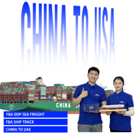 Équipes de distribution : Transitaire DDP fiable Chine-Émirats arabes unis, fret commercial, livraison entrepôt Amazon FBA 3PL, fret maritime LCL FCL
