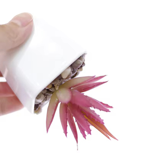 Chất Lượng Cao Bất Cảm Ứng Cảm Giác Tự Nhiên Nguyên Màu Sắc Trang Trí Mini Trong Chậu Mọng Nước Nhân Tạo Nhà Máy Cây Cỏ - Product Image 4