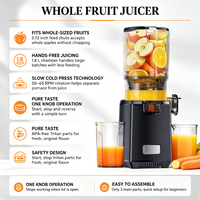 Koude Pers Sapcentrifuge voor Thuisgebruik, 130mm Diameter, 1.8L Capaciteit, voor Hele Fruit & Groenten, 300W, Automatische Masticatie