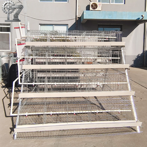 Equipo Automático Galvanizado para Gallinas Ponedoras, Jaulas de Acero para Aves de Corral, para Granjas Avícolas, en Oferta - Product Image 4