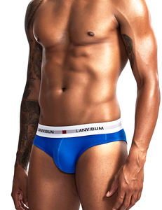 Slip pour homme, triangle, taille basse, sexy, découpe avant et arrière, poche convexe, string gay - Product Image 4