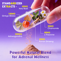 Capsules de soutien hormonal du cortex adrenal : Magnésium, Curcuma, Berbérine, Extrait de thé vert |   Équilibre hormonal, soulagement du stress, adulte
