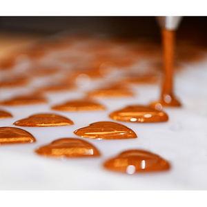 Machine à fabriquer des bonbons gélifiés automatiques, sucettes, bonbons taffy, toute neuve, avec prix d'usine - Product Image 2