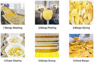 Máquina para Hacer Chips de <span class=keywords><strong>Mango</strong></span>, Planta de Secado de <span class=keywords><strong>Mango</strong></span>, Maquinaria para Fruta Seca de <span class=keywords><strong>Mango</strong></span>, Línea Completa de Producción - Product Image 2