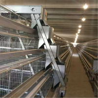 Cage automatique galvanisée de type A pour poules pondeuses, capacité 96/120/128/160 oiseaux, pour ferme avicole