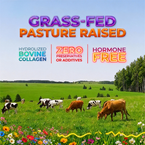 加水分解コラーゲンペプチドサプリメントヒアルロン酸ビタミンC健康カプセル大人用 - Product Image 2