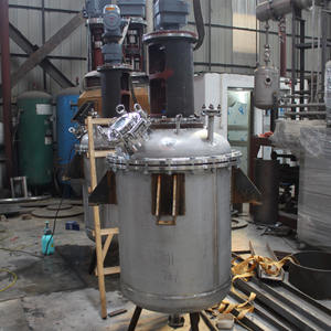 Mezcladora de Acero Inoxidable con Reactor Agitado y Camisa para Línea de Producción de Resina - Product Image 2