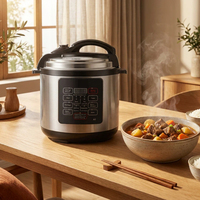 Autocuiseur Électrique Numérique OEM 5L Multifonctionnel Intelligent 900W, Cuiseur à Riz et Mijoteuse en Acier Inoxydable – Vente en Gros