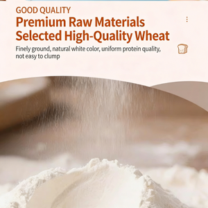 <span class=keywords><strong>Poudre</strong></span> de préparation pour beignets mochi halal certifiée HACCP, <span class=keywords><strong>poudre</strong></span> de préparation pour beignets pour la pâtisserie domestique et commerciale, ingrédients de pâtisserie - Product Image 2