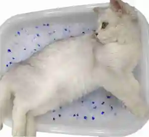رمل كريستال للقطط خالي من الغبار 3 كجم منتجات بالجملة رمل كريستال لماركل القطط يدوم طويلاً غير متخنق