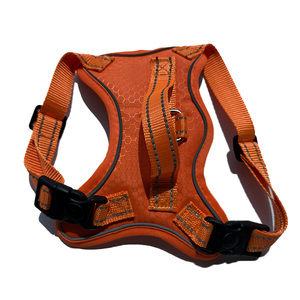 2025 nuovo lusso personalizzato <span class=keywords><strong>Pet</strong></span> collari guinzaglio imbracature per cane - Product Image 6