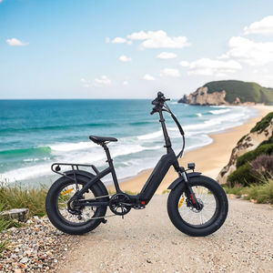 Vélo électrique tout-terrain pliable avec cadre rabattable, fournisseur OEM Chine - Product Image 4