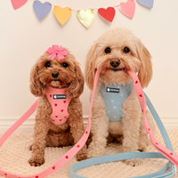 Arnés para Perro con Bordado OEM, Correa Ajustable de Pana Suave con Forma de Corazón, Arnés Transpirable para Cachorros, Conjunto de Arnés de Lujo Personalizado para Perros