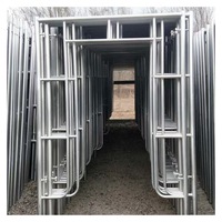 Échafaudage industriel en aluminium, portique de passage avec stabilisateurs pour une maintenance hospitalière stable