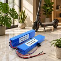 Pack de batteries lithium-ion personnalisé 36V 20Ah 10S8P rechargeable avec PCM/BMS pour véhicule électrique OEM ODM