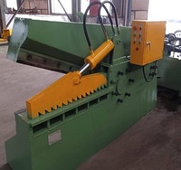 Équipement de laminoir de ciseaux de crocodile de Runhao couramment utilisé pour des usines sidérurgiques d'exportation d'armature en acier