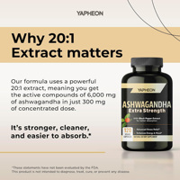 Capsule végétalienne d'Ashwagandha extra forte OEM, extrait de racine 20:1 avec poivre noir, complément alimentaire à base de plantes pour l'équilibre quotidien de l'humeur et du corps