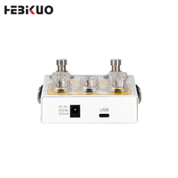 Módulo de Efecto de Reverberación Estéreo HEBIKUO AETHER, 9 Efectos Diferentes, Compatible con Grabación en Tarjeta de Sonido para Estudios de Grabación Profesionales
