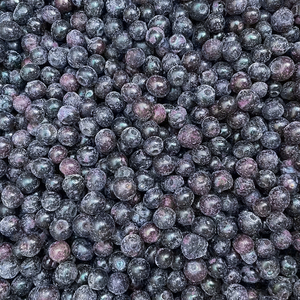 Arándanos Congelados IQF de Grado A, Proveedor Chino, Certificación HACCP, <span class=keywords><strong>2</strong></span> Años de Vida Útil (-18°C), a Granel para Distribuidores Globales - Product Image 3