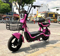 Scooter électrique populaire 500W 48V avec batterie, vélo de ville pour trajets urbains avec panier avant