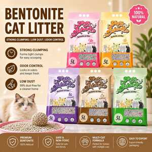 Sable pour chat de qualité supérieure, forte absorption, arena para gato, bentonite, sable sanitaire pour chats - Product Image 1