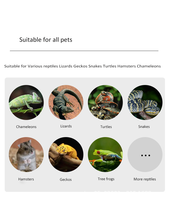 Vente en gros de terrarium détachable pour reptiles à petites mailles 20*20*30cm, boîtier caméléon, cages pour animaux de compagnie, maisons pour reptiles, boîte de style simple