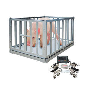 उच्च गुणवत्ता वाले कस्टम पशु पशुधन पैमाने स्टेनलेस स्टील सुरक्षा फार्म गाय वजन का ओम और गंध समर्थित - Product Image 2