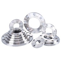 Bride en acier inoxydable poli SS304/SS316 Zhongwai PN10/PN16 RF/FF ASME B16.5 avec trous de boulons personnalisables, Hebei Chine