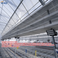 Estructura de Invernadero de Vidrio Comercial para Producción de Cultivos Durante Todo el Año, Solución Agrícola