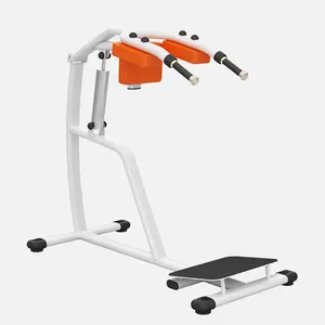 Shandong Minolta Sport Simulators Hot Selling Best Quality Squat Machine Hydraulic Circuit Training Equipment Fitness Equipment