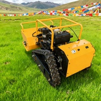 Cortacésped tipo Mayal con control remoto todoterreno certificado CE de 48V para campos de golf Nuevo lanzamiento