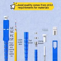 Harga Pabrik Kabel Serat Optik LZSH Kuning Single/Dual Mode Single/Dual Core 1M 2M 5M 10M 20M Digunakan untuk FTTH Fiber to the Home di Pusat Data
