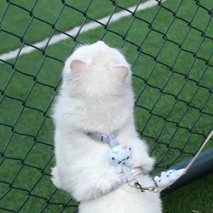Laisse pour animaux de compagnie (chats, lapins) – Design mignon, anti-évasion, réglable, harnais en forme de I, en corde, sans risque d'étouffement - Product Image 2