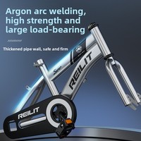 Sepeda Anak-anak Rangka Magnesium-Alloy Rem Cakram Roda Latihan Anak Laki-laki Perempuan 3-6 Tahun Sepeda Sekolah Multi-Ukuran