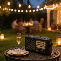 Radio solaire portable personnalisée OEM certifiée CE, vente en gros d'usine, avec lumière LED de nuit, lecteur USB BT, bandes AM/FM/SW