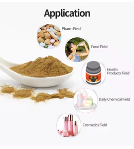 사이언카린 공급 은행나무 빌로바 추출물 하이 퀄리티 은행나무 빌로바 추출물 <span class=keywords><strong>24</strong></span> 플라보노이드/<span class=keywords><strong>6</strong></span> 락톤 - Product Image 2