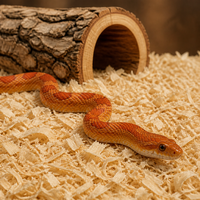 Serutan Kayu Aspen Alas Tidur Hewan Peliharaan 5-8 Tahun Poplar Partikel Besar Kecil Substrat Ular Hamster Rendah Debu