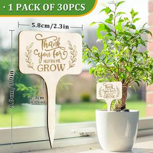 Marcatore di etichettatura a forma di T personalizzato accessori da giardino etichetta da giardino in legno di bambù etichetta per piante fai da te etichetta per vigneto - Product Image 1